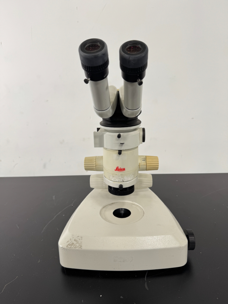 Image of Leica MZ6 Stereo Microscope